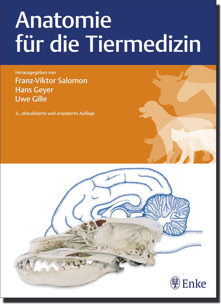 Anatomie Für Die Tiermedizin | Er-Leben - Fachversand