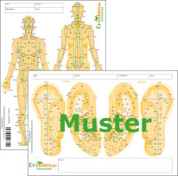 Meridianblock / Akupunkturblock Er-Leben